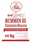 RUMMEN III